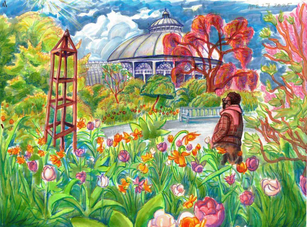 The Garden - Commission